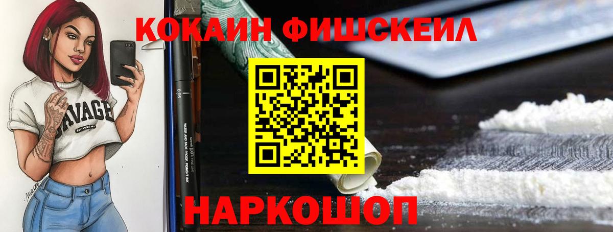 COCAIN Fish Scale  Вход с VPN  Советская Гавань 