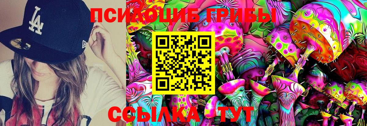 Советская Гавань  хочу   Вход с VPN  Псилоцибиновые грибы Magic Shrooms 