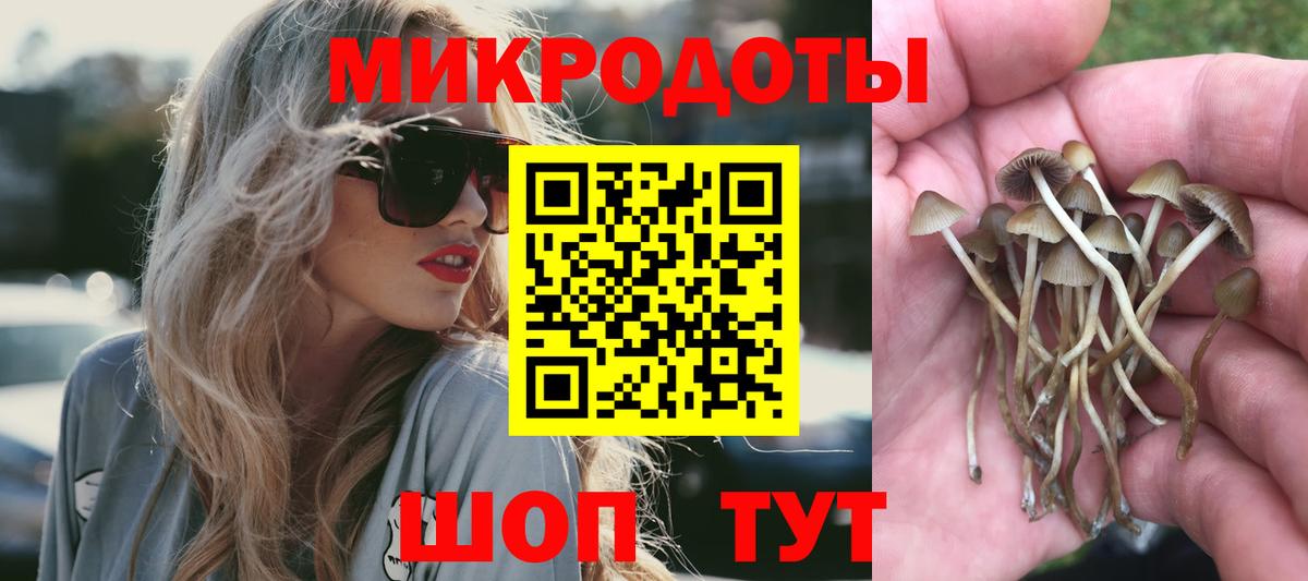 Псилоцибиновые грибы Cubensis Советская Гавань